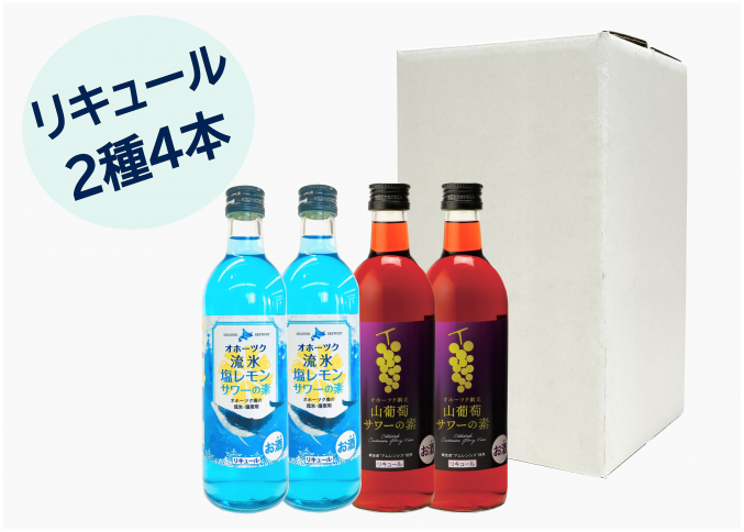 塩レモン・山葡萄サワーの素　2種詰合せ　